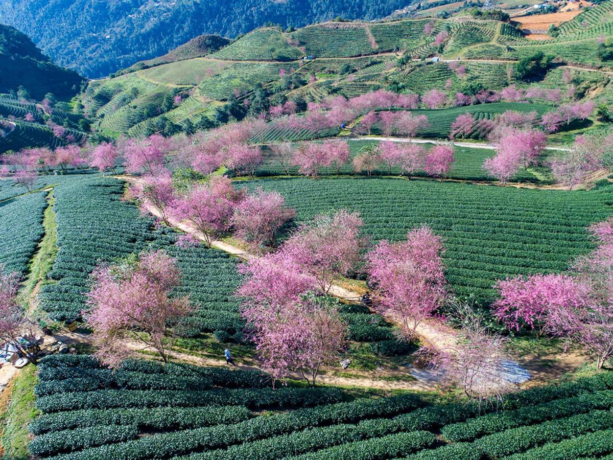 Sapa King Hotel Hung Vuong Hotel Luaran gambar